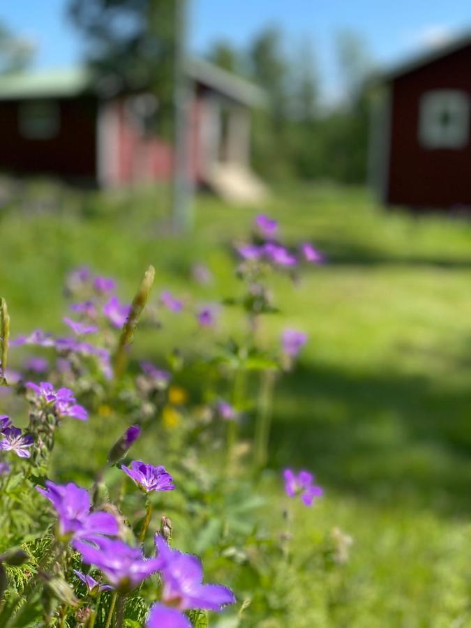Taenndalens Stugby Villa Екстериор снимка